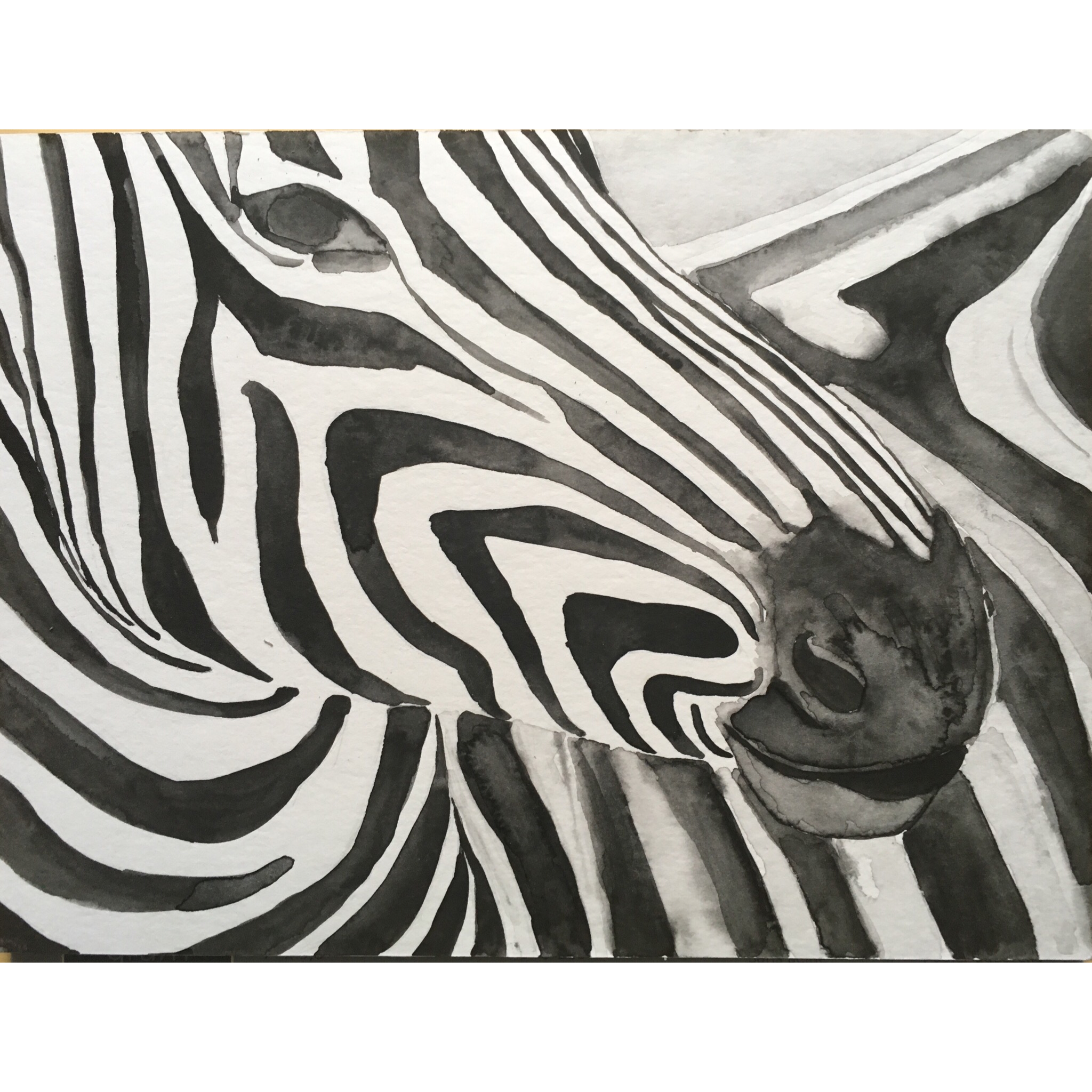 22_Aquarel_Zeebra